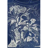 blue_ginger