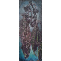 bartlettina_sordida_sorrow