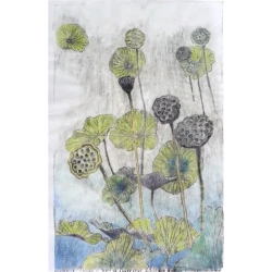 lotus_pond_1_701582701