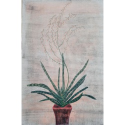 signal-2026-02-27-172137_006