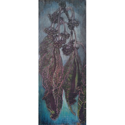 bartlettina_sordida_sorrow