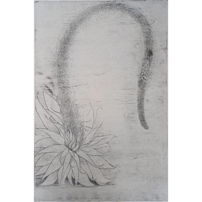 signal-2026-02-27-172137_008