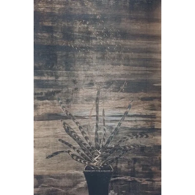 world_in_backyard_-_board_389507073